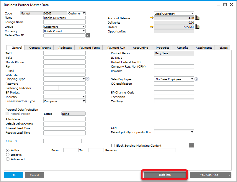 Business Partner Master Data